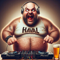 Dj Haval